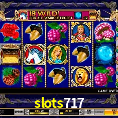 slots717 Rio de Janeiro - Professional Dealers